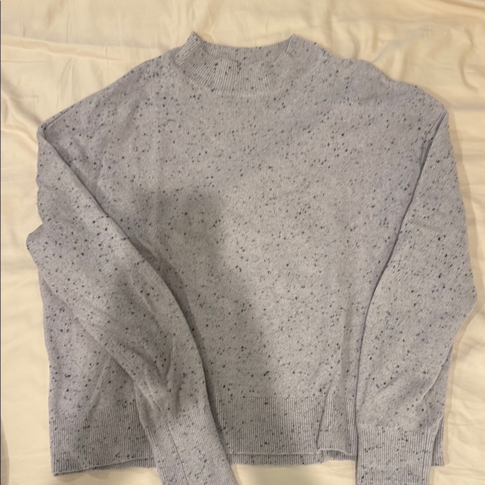 Everlane Cashmere Mockneck Sweater